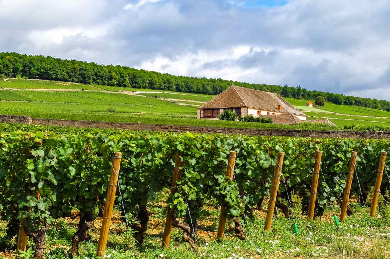 The list of appellations for Burgundy wines